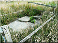 Remains of well near Haigh Cross, Lindley