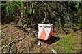 Orienteering marker, Corncockle Plantation