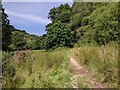 Footpath heading up hill near Venn