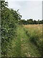 Footpath near Priestley