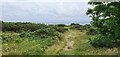 Path off Boscombe Overcliff Drive