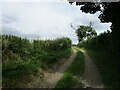 Farm track at Scarcliffe