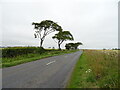 B9131 towards Beleybridge