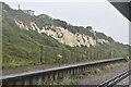 Chalk cutting at Bishopstone Station