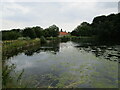 Cuckney Dam