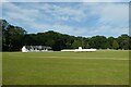 Cricket ground in Fitz Park