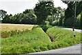 Wetherup Street: Road junction, a cereal crop and deep drainage ditch