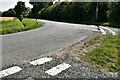 Wetherup Street: Road junction, a cereal crop and deep drainage ditch