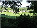 A field and bungalows