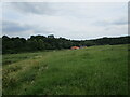 Grass field and Gildwells Farm