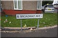 Broadway Avenue off Bordesley Green, Birmingham