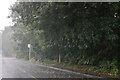 Heavy rain on Hoddesdon Road, St Margarets