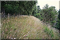 Embankment of the former Black Isle Railway