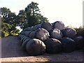 Silage Bales at the side of New Road, Astley