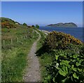 Footpath by Campbeltown Loch, Argyll