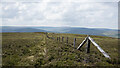 NY6953 : Fence descending to west from Wardley Law by Trevor Littlewood