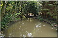 Lambourn Gill