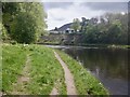 Riverside path, Gattonside