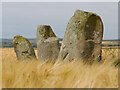 NS0855 : Largizean Standing Stones by James T M Towill