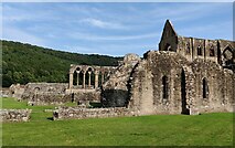 SO5300 : Ruins of Tintern Abbey by Mat Fascione