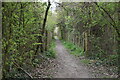 Footpath to Maidstone Rd