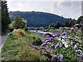 SO5300 : River Wye at Tintern by Mat Fascione