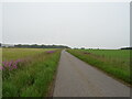 Uphill on the road near Backfield Farm