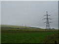 Grazing and power lines near East Town Farm