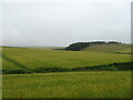 Crop fields near Nether Baulk