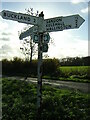 TL3234 : Direction Sign â Signpost on Sandon Road, Sandon by John V Nicholls