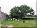 SO3404 : Churchyard yews, Kemeys Commander, Monmouthshire by Jaggery