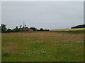 Grassland, Kirkton Barns