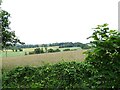 Roadside view of the countryside