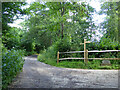 Path and track junction near Allens Farm