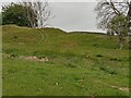 Site of Former Quarry near Tulloch