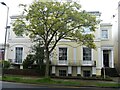 Cheltenham houses [116]