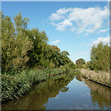 SJ9822 : Staffordshire and Worcestershire Canal near Tixall by Roger  D Kidd