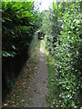 Footpath near Broke Hall, Ipswich