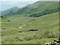 NY4414 : Sheep grazing in Ramps Gill by Christine Johnstone