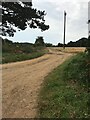 Bridleway near Ramsholt