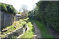 Footpath by Alder Stream