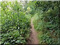 Empty path, Mount Segg