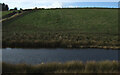 Pond and hillside grazing near Little Bogburn