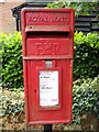 Honey Tye Postbox