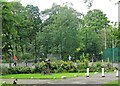 Tennis at Moss Bank Park