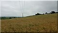 NS4333 : Field near Wester Hillhouse by Ian Dodds