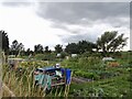 North Duffield allotments