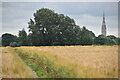 Field path with view of Salisbury Cathedral