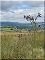 View over Llanfabon and up the Cynon valley