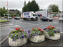H4572 : Floral display along Dublin Road, Omagh by Kenneth  Allen